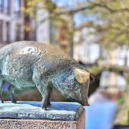 Ohlerich Speicher App_ 38